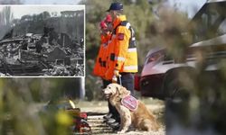 Sahipli köpeklere arama kurtarma eğitimi veriliyor