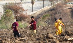 Bir Günde 44 Bin 50 Fidan Toprakla Buluşturulacak
