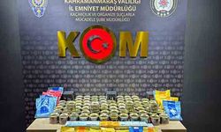 Gümrük Kaçakçılığı Operasyonunda 3 Şüpheli Gözaltına Alındı