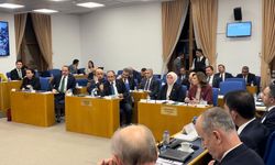 AK Partili Tuba Köksal'ın Plan ve Bütçe Komisyonundaki konuşması