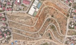 Karbon emiliminin artırılması için 75 dönüm alan ağaçlandırılıyor