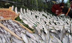Kasım ayında tüketilebilecek en faydalı balıklar belli oldu