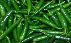 Acı biber acı olabilir, ancak birçok faydası vardır