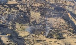 Ekinözü’de çıkan orman yangını kontrol altına alındı