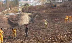 Hatay ve Kilis'te bir günde 44 bin 50 fidan toprakla buluşturulacak