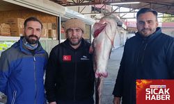 İnsan Büyüklüğünde Yayın Balığı Menzelet’te Görüntülendi