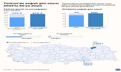 Yağışlı Gün Sayısı Son 52 Yılın En Düşük Seviyesinde