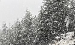 Kahramanmaraş'ta kar yağışı etkili oldun ilçesi