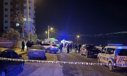 Otomobile Düzenlenen Silahlı Saldırıda Sürücü Hayatını Kaybetti