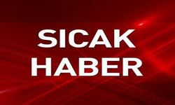 Dolandırıcılık Operasyonunda 14 Şüpheli Tutuklandı