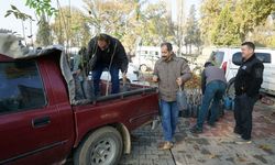 Büyükşehir’den Bin 500 Üreticiye 193 Bin Adet Fidan Desteği