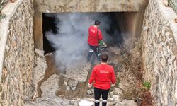 Büyükşehir, Vektör Zararlılara Karşı Kışlak İlaçlamanın Startını Verdi