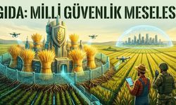 İstikbal Göklerde, İstiklal Topraktadır!