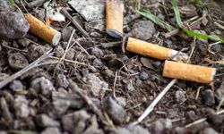 Sigara izmaritleri içerdiği kimyasal maddelerle su, toprak ve canlılara zarar veriyor