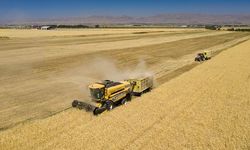 TKDK 42 uzman alacak