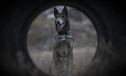 Melo depremden cinayete ekiplerin iz sürücüsü