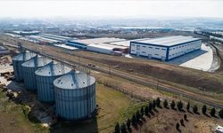 Yaklaşık 6 bin sanayi tesisi çevresel performansına göre sınıflandırılacak