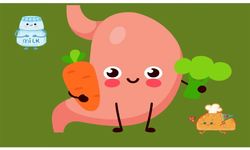 Sağlığınız için hangi besinler faydalıdır?