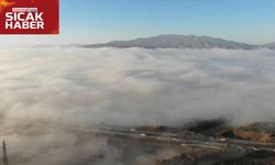 Soğuk ve Sisli Sabahlar, Yağmur Geliyor