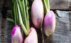 Şalgamın Faydaları Nelerdir?