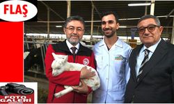 TKDK’nın 2025 yılı faaliyetleri açıklandı