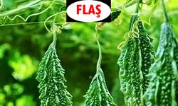 Acı biberden hemen sonra tüketilmemesi gerekenler