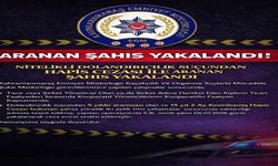 Nitelikli Dolandırıcılık Operasyonu