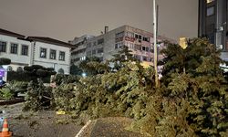 Etkili olan fırtına ve hortum bazı ev, sera ve araçlara zarar verdi