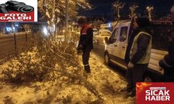 Büyükşehir Kış Mesaisini Sürdürüyor; Kırılan Dallara Anında Müdahale