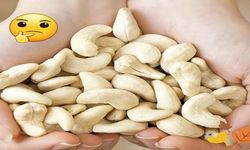 Kaju fıstığını düzenli olarak tüketmenin 7 nedeni?