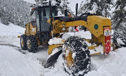 Kar Nedeniyle 137 Mahalleye Ulaşım Sağlanamıyor