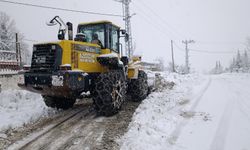 Kar Nedeniyle 156 Kırsal Mahalleye Ulaşım Sağlanamıyor
