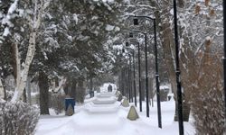 Balkanlar’dan gelen soğuk hava dalgası yurdu etkisi altına alacak