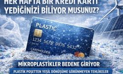 Her Hafta Bir Kredi Kartı Yediğinizi Biliyor musunuz?