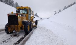 Büyükşehir Kar Mesaisini Sürdürüyor; Ekiplerden Kesintisiz Çalışma