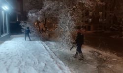 Yoğun Kar Yağışıyla Kırılan Ağaç Dallarına Hızlı Müdahale