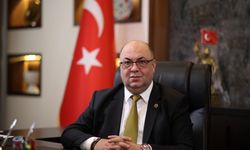 Çınar Mı Suçlu, Rüzgâr Mı Suçlu?