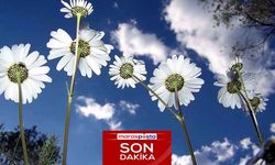 Cemre baharın müjdecisidir!