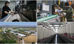 Depremden etkilenen illerin ihracatında toparlanma devam ediyor