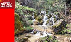 Türkiye’de korunan alan sayısı 692’ye yükseldi