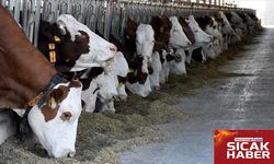 Kahramanmaraş Büyük Başta Türkiye’de İlk 25’te