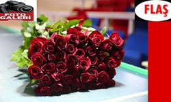 Çukurova'da çiçekler Sevgililer Günü'ne hazır