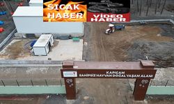 Kapıçam Sokak Hayvanları Rehabilitasyon Merkezi yenilendi