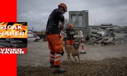 TSK Yardım Tugayı'nda arama kurtarma tatbikatı düzenlendi
