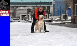 Yaralı patileriyle 6 kişiye umut olan "Köpük" eğitimlerle yeni görevlere hazırlanıyor