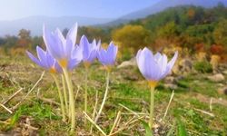 İlk Cemre Ne Zaman Düşecek?