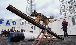 Evdeki can dostları arama kurtarma görevine hazırlanıyor