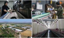 Depremden etkilenen illerin ihracatında toparlanma devam ediyor