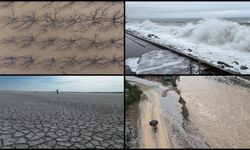 Türkiye'de geçen yıl 1011 ekstrem meteorolojik olay meydana geldi