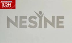 Nesine 2. Lig'de Görünüm